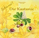  Schau mal Die Kastanie