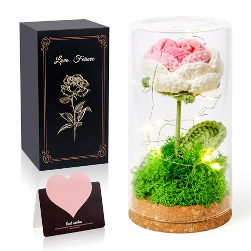 AWARDSEN Eternal Flower Crochet Gifts Rose in Glass Dome with Light Up, Knitted Flowers...