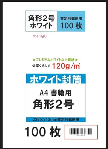 SOWA LABO  p` `S 100  120 TCh\ 䂤pPbg lR|XΉ 228×312mm