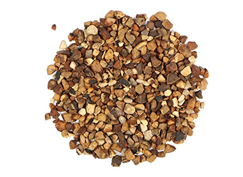 Kola Nut Organic - 1oz image 2