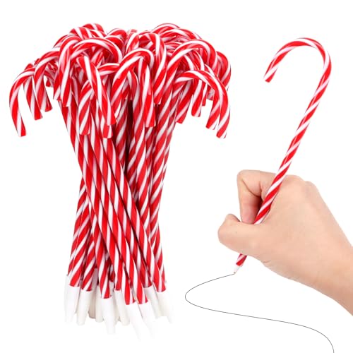 DIYASY LfBP[yANX}XyoNubNCNt50{Bzf[AVNAz[fR[VAp[eB[MtgɁB