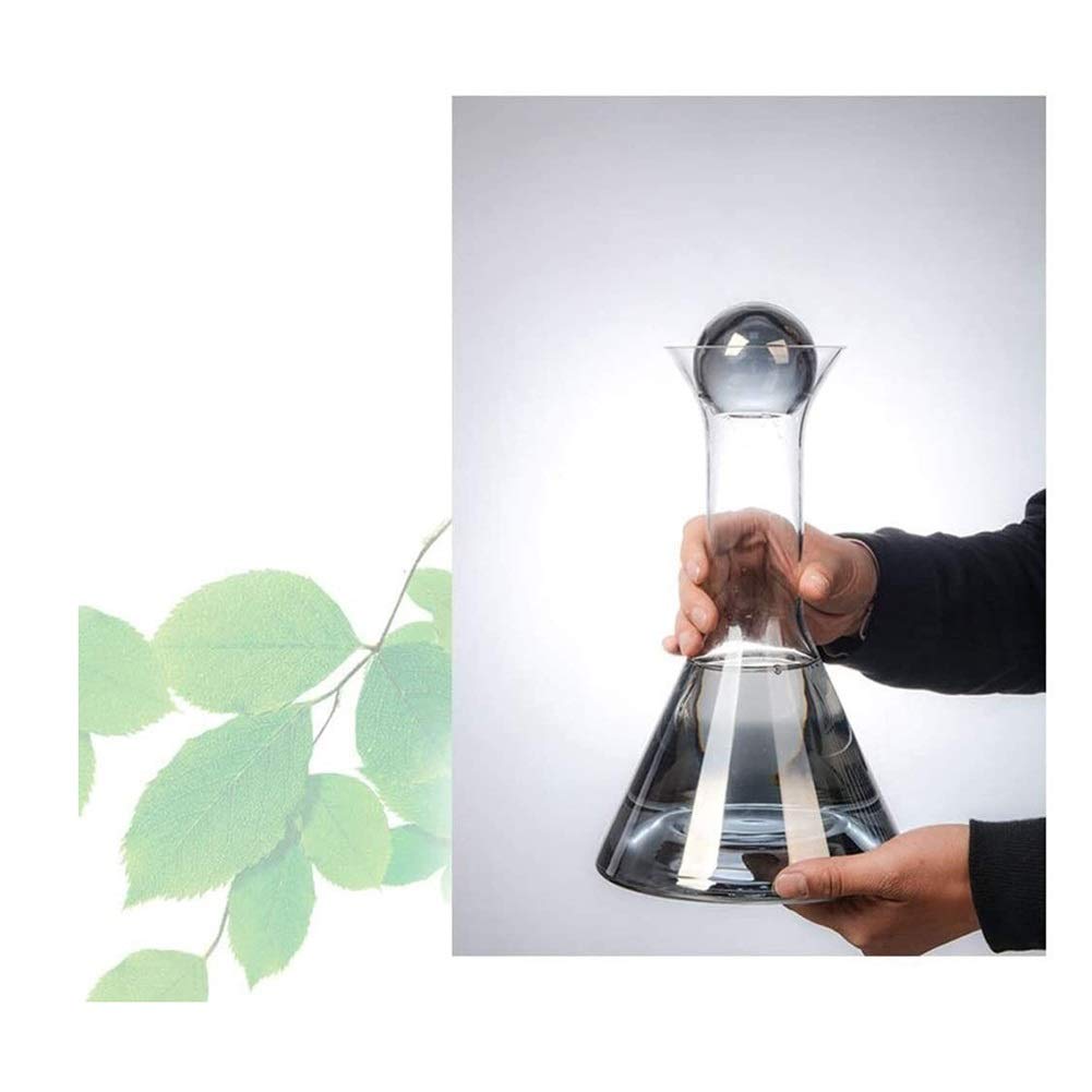 Set di decanter per whisky da uomo Set di decanter per vino con incisione, tappo e 4 bicchieri creativi inclusi, caraffa per vino aerata in vetro con decanter scintillante fumoso, set