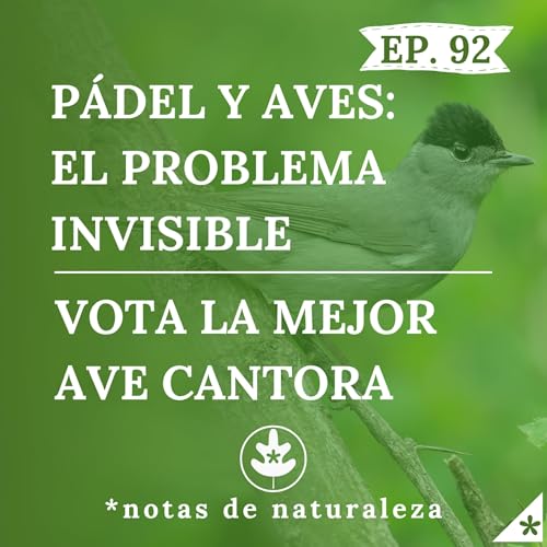 P&aacute;del y aves: el problema invisible + &iquest;Cu&aacute;l es el mejor canto de la pen&iacute;nsula? V&oacute;talo #92