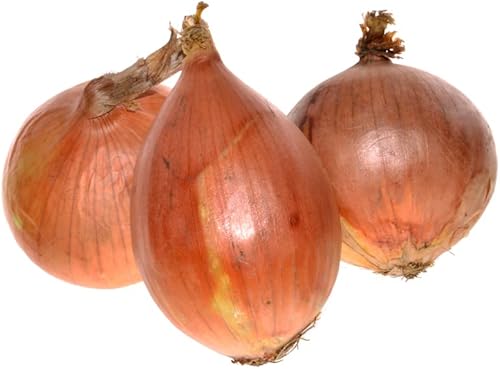 Miniatura 6 de Riverside - Semillas de cebolla española dulce para plantar, más de 300 semillas tradicionales por paquete, semillas de jardín de Isla (semillas de