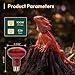 ALAMPEVER 2 Pack Red Heat Lamp Bulb, 100 Watt Infrared Light Bulb for Bearded Dragon, E26 Base, Durable Reptile Heat Bulb for Amphibian, Lizard, Tortoise, Gecko