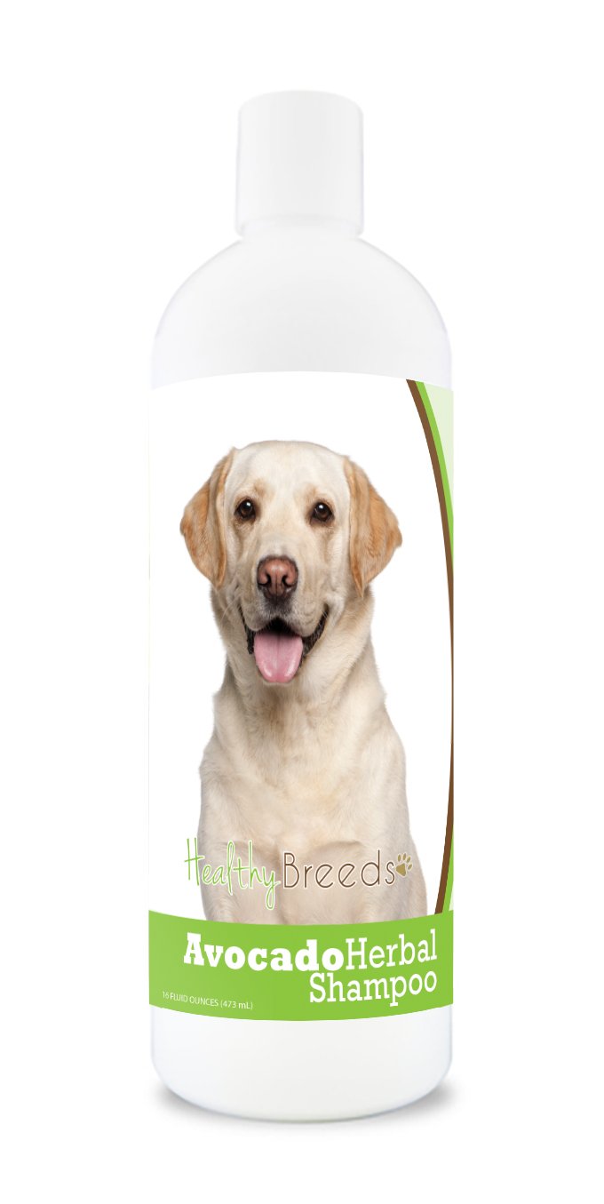 Healthy Breeds Labrador Retriever Avocado Herbal Dog Shampoo 16 oz — view 16