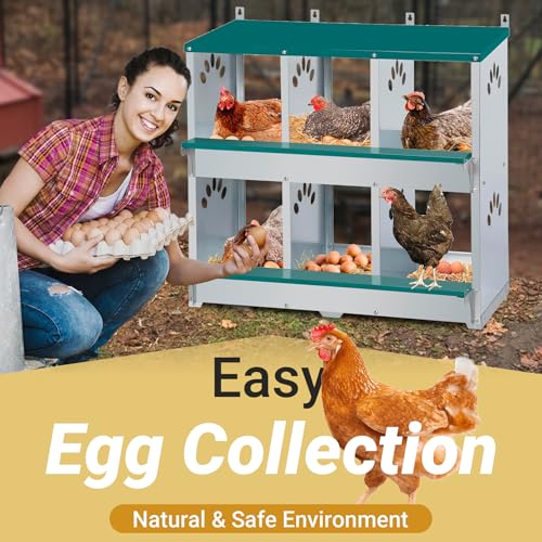 Chicken Nesting Box, 6 Compartment Metal Nesting Box, 6 Room Wall Mountable Nesting Boxes for Chicken, Green - Image 3