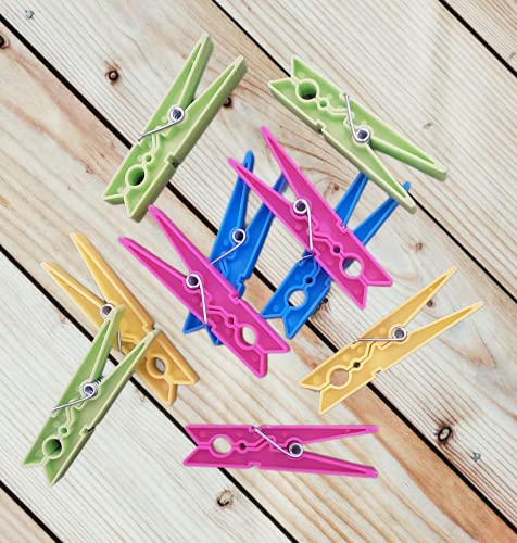 NOVUM SELECTION - mollette per bucato in plastica