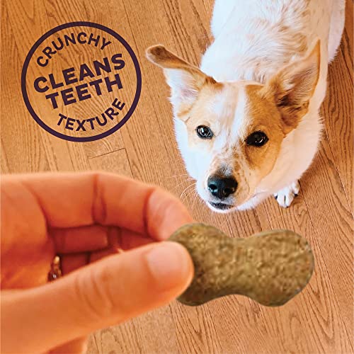Image of Wellness Old Mother Hubbard P-Nutty Dog Biscuits, Natural, Training Treats, Three Flavors, Small Size, (20 Pound Box)