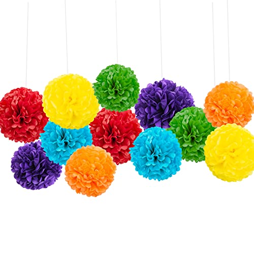 We Moment Rainbow Tissue Hanging Paper pom poms Decorations,colour Tissue Hanging Paper Pom Poms Flower Ball Wedding Birthday Rainbow Party baby Shower Decorate?6 Colors of 12 Inch, 10 Inch