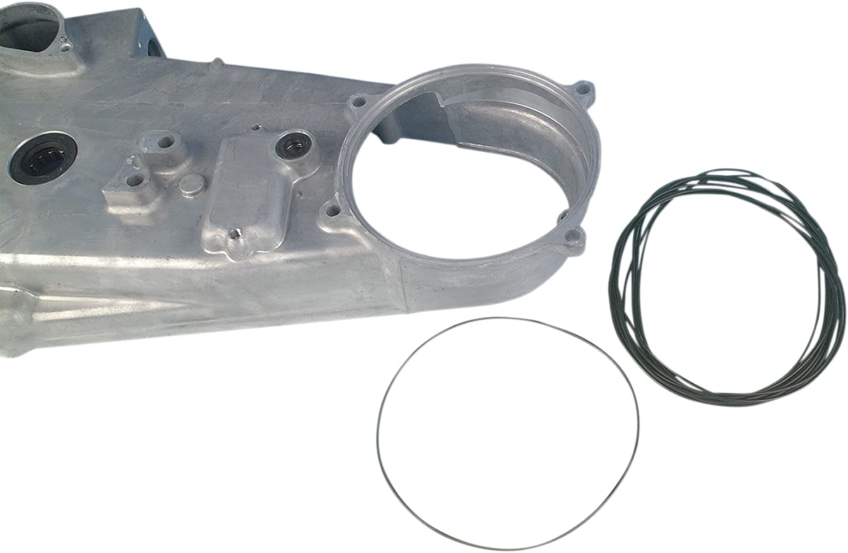 Amazon.com: James Gaskets 11147 Alternator/Chain Housing O-Ring