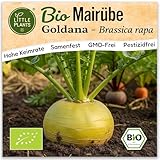 Little Plants BIO Rüben Samen 500 Rübensamen Goldana Mairübe Gemüsesamen Gemüsesaatgut Samenfest für Gemüsegarten, Hochbeet, Küche, Balkon und Garten