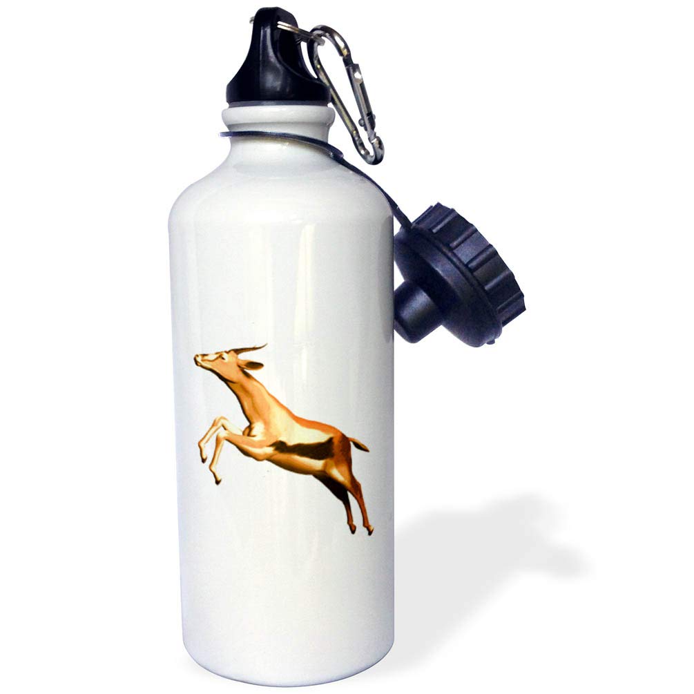 3dRose Leaping Thomsons Gazelle Sports Water Bottle, 21 oz, White