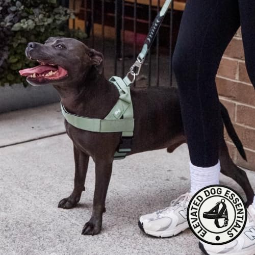 Image of Dog Friendly Co. Dog Harness for Small Dogs (Khaki, XXSmall)