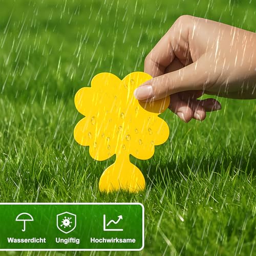 COMPOLICY 20 Stück Gelbsticker Trauermücken Bekämpfen, hochwirksame Gelbtafeln zur Schädlingsbekämpfung und zum Schutz von Zimmerpflanzen, ungiftig und umweltfreundlich