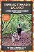 Tipping Toward Balance: A Fitness Trainer's Guide to Stability and Walking