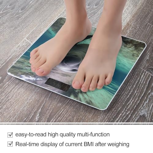 Báscula digital para baño con diseño de manatí y vidrio templado miniatura 5