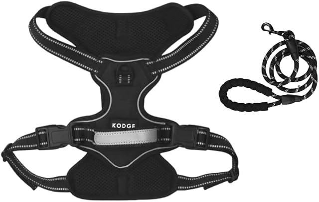 KODGE Dog Harness Small Dog UK with 5FT Dog Lead - Puppy Dog Harness No Pull Harness for Dogs Soft Comfortable No Choke Padded Adjustable Pet Harness with 2 Leash Clips Reflective Pet Vest Harness