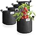 Produktbild com-four® 5X Pflanzsack 20 L für Kartoffeln - Tomaten-Kübel mit Griffen - Pflanztasche - Pflanztopf Tomaten - Pflanzenschutzsack (20 L- 5 Stück)