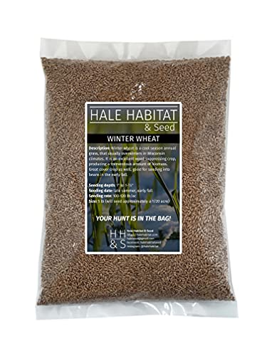 Hale Habitat & Seed Winter Wheat Food Plot Seed 5 lbs