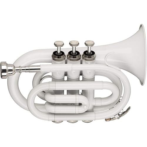 Stagg Trumpet-Pocket, White (WS-TR249S)