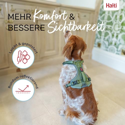 HALTI Anatomy Hundegeschirr mit Griff – Bewegungsfreiheit für deinen Hund. 3 Verbindungspunkte für die Leine, Neoprenpolsterung, verstellbar und reflektierend (Größe L, Grün)