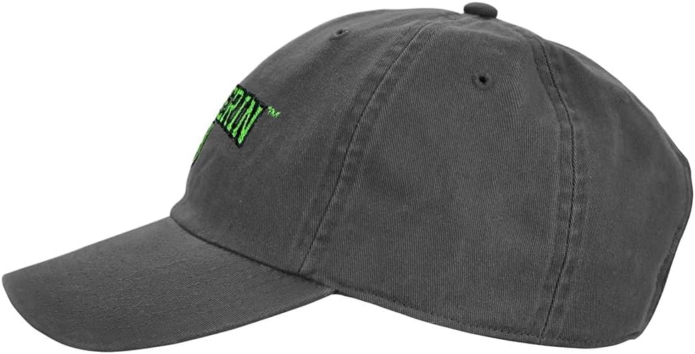 Popfunk Harry Potter Houses Arch Dad Hat - The U18 Adjustable Relaxed-Fit Cap - Unisex for Men and Women