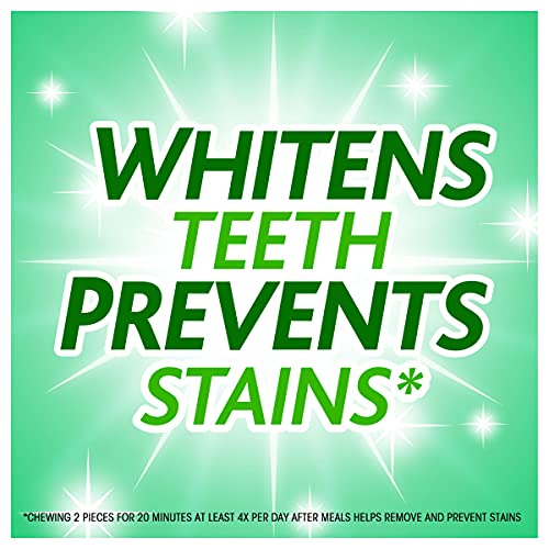 Trident White Spearmint Sugar Free Gum, 6 Bottles of 60 Pieces (360 Total Pieces) - Image 8