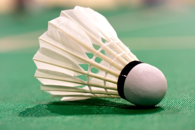 Feather SHATTLECOCK Pack of 10 (White) Play Fast (B0CK53GD4B) Amazon Price History, Amazon Price Tracker
