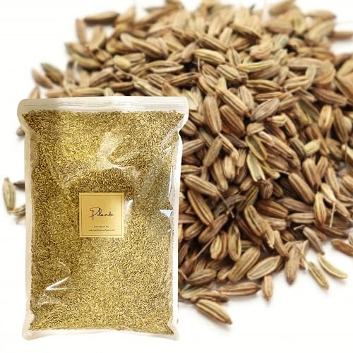 tFlV[h 1kg Ɩp e ChY Y Iʕi XpCX n[u h 