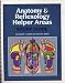 Anatomy and reflexology helper areas: Study guide