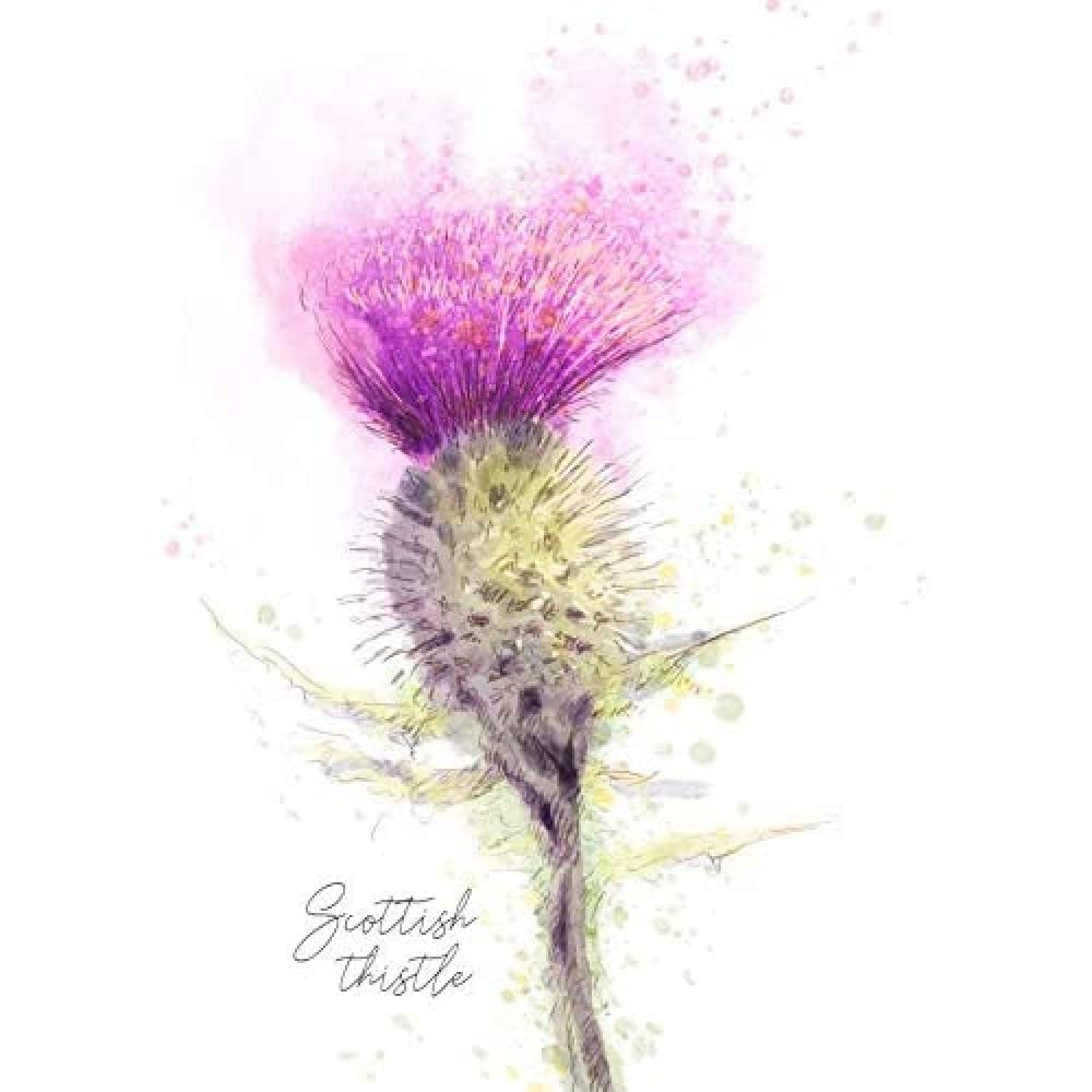 Wee Blue Coo Unframed Paper Scottish Thistle Flower Head Watercolour Scotland Art Print Poster Wall Decor 12X16 Inch