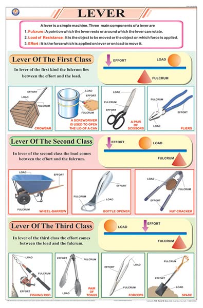 Amazon.co.jp: STP08 | TeachingNest レバーチャート(58x90cm) | 英語