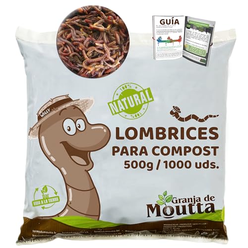 Lombrices 500g (1,000 uds. aprox.) | Lombriz de tierra vivas Eisenia, elabora compost con tus residuos orgánicos - Para vermicompostador/compostador/jardín
