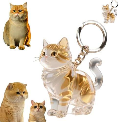2-Pack British Shorthair Golden Cat Hair Storage Capsule Commemorative Keychain