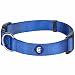 Blueberry Pet 8 Colors Classic Dog Collar, Royal Blue, Neck 18"-26", Large, Nylon Collars for Dogs