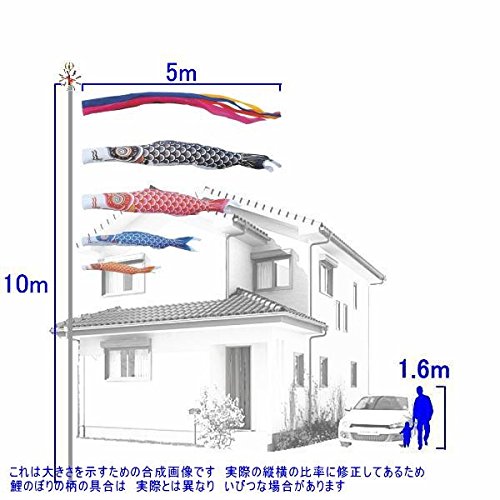 Amazon | キング印鯉のぼり 鯉のぼり 庭用 ナイロン鯉（五色吹流し