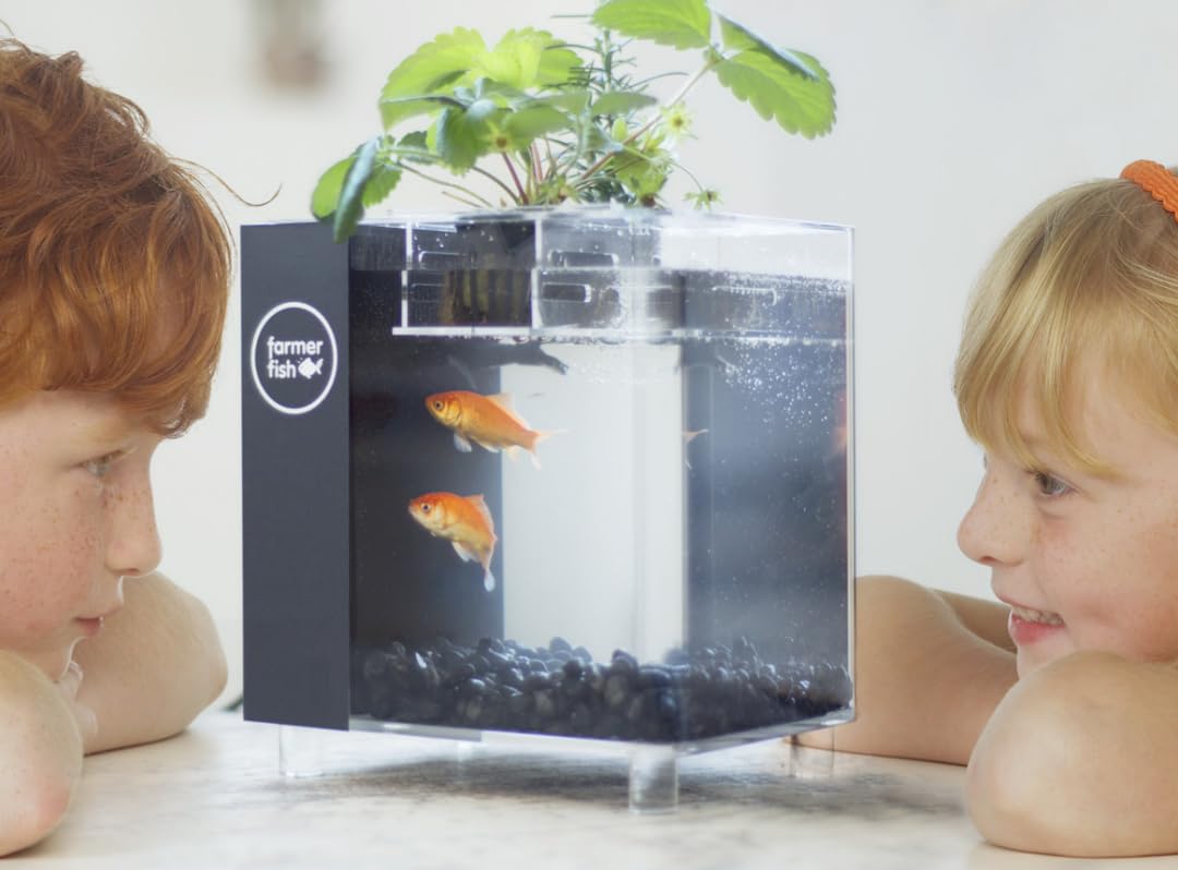 Aquarium Aquaponie Farmer Fish Tank
