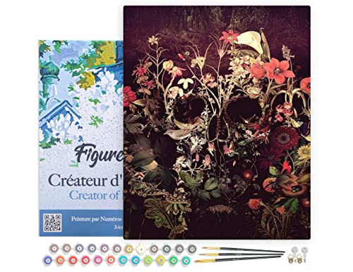 Figured'Art Peinture par Numéro Adulte avec Cadre Crâne stylisé - Activité Manuelle Kit de Loisir Créatif DIY Numéro d'Art Complet - 40x50cm toile tendue sur châssis