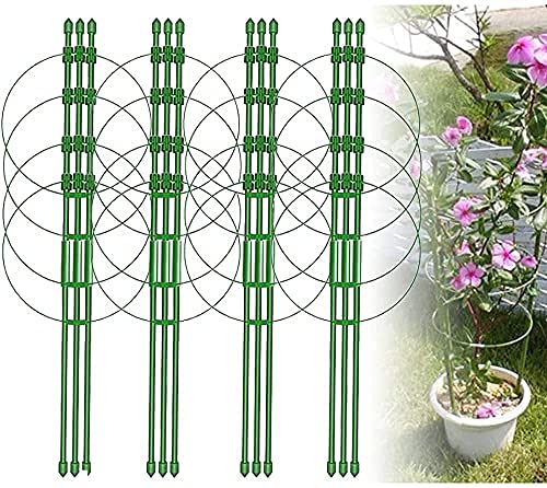 Garden Art Vegetable Trellis, Garden Plant Support Cages Stakes for Climbing Plants, Flowers, Fruits, Vine, Garden Trellis with 4 Adjustable Cable Ring (Dia-29.5, Height-90 Cm)(GAFS90)(Pack of 1)
