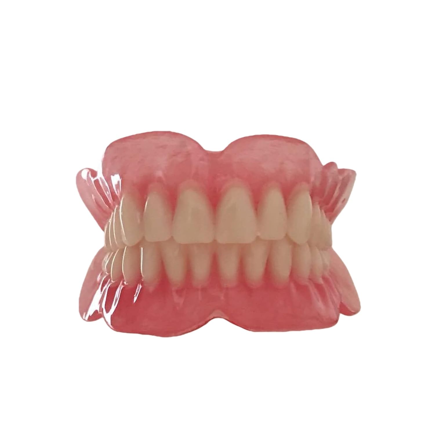 CTTQIBUIN Oral Denture Tooth Model, Upper Teeth and Lower Teeth Model, Mouth Tooth Model Denture Model for Kids or Dentist Students Demonstration Teaching Studying Tool.
