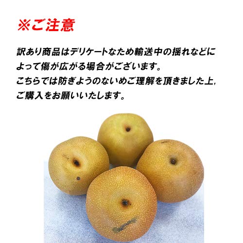ほぼない 詰めながら出品してます 幸水ご家庭用 Amazon.co.jp: 【 熊本県産 】梨（ 幸水 豊水 秋月 新高 新興 等その他