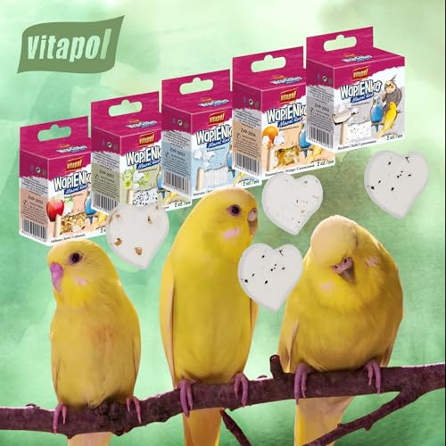 Vitapol Wapienko Bird Calcium Block – Natural Supplement for Beak Health & Eggshell Strength – Twin Pack – Hanging Mineral Block for Parrots, Budgies & Small Birds (2x, Apple, 35g) - Image 6