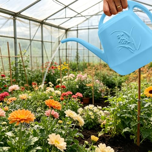 Image of Plant Watering Can - Sky Blue - 1 /2 Gallon