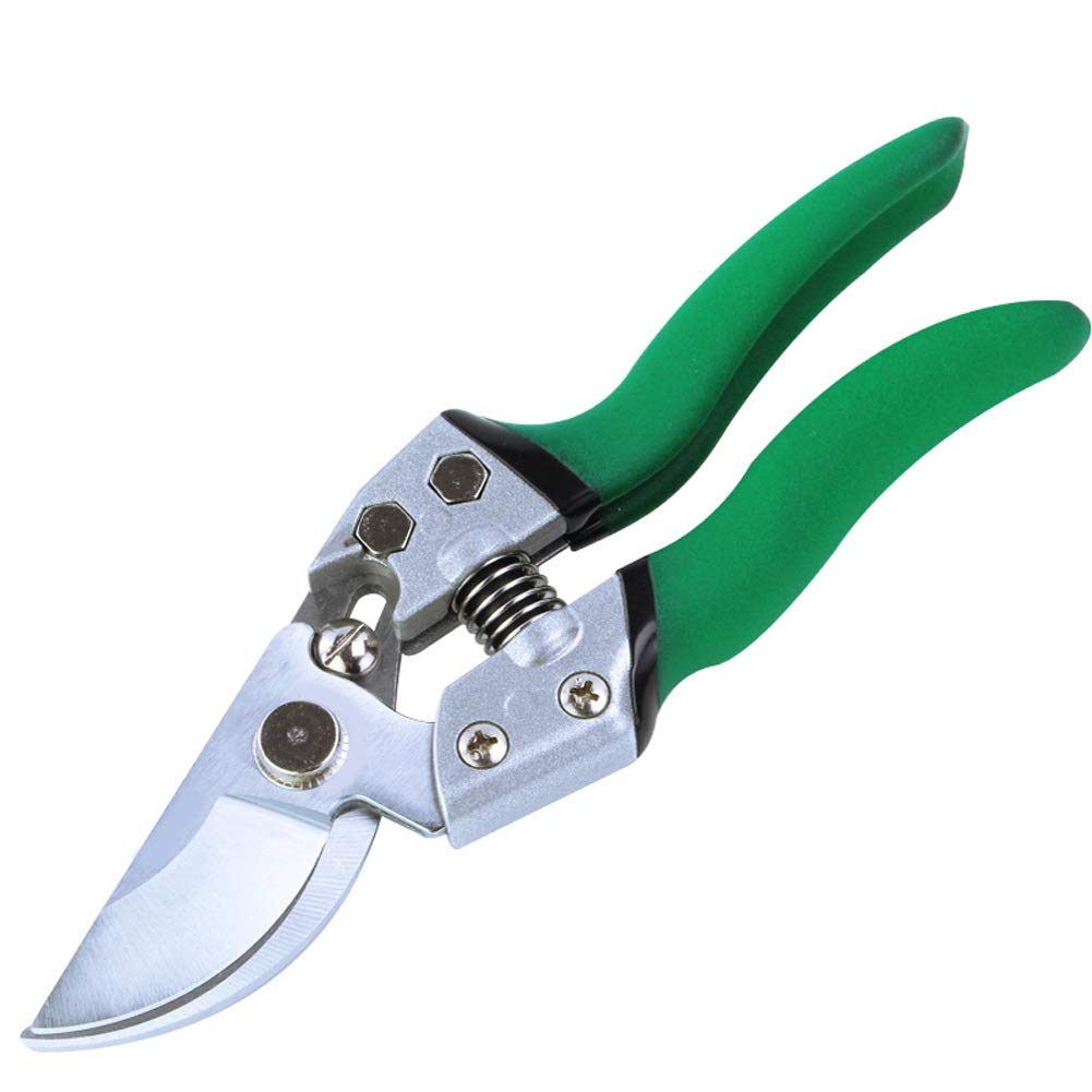 Potatura SK5 Potatore Sharp Fruit Pick Tools Tagliarami per Alberi Forbici per Fiori Forbici per innesti Attrezzo da Giardinaggio