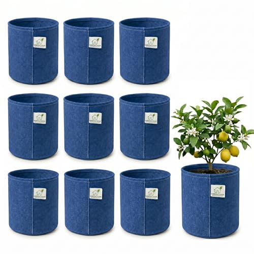 Image of 400 GSM Geo Fabric Round Grow Bags 6x6 Inch, Blue Planting Bags for Terrace and Kitchen Gardening Pack of 10