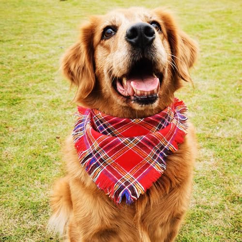 Personalisiertes Hunde-Bandana, bestickter Name, benutzerdefinierte Halsbekleidung, Hundehalstücher mit Quasten, Kanten, kariert, Weihnachtsschal, Lätzchen, Halstuch, Halsbänder für kleine und