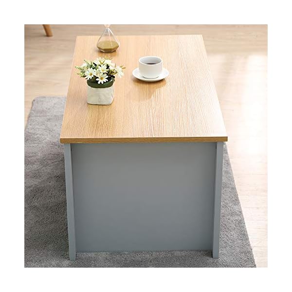 Homeke Wooden Coffee Table with Storage Shelf Rectangle Tea Table Side End Table Grey/White - Image 4