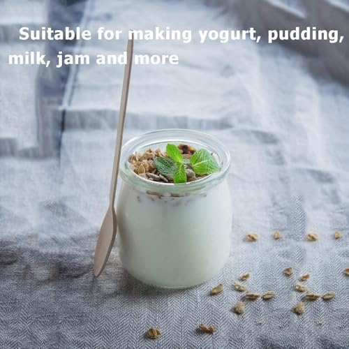 Image of SOLIGT Marve 6 pcs Glass Pudding Jar With Plastic Lid /Small Glass Bottles For Desserts /Yogurt Jar For Decorations Ideal for Jam, Honey, Wedding Favors
