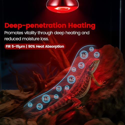 Image of REPTITRIP Dual Reptile Lamp Fixture with 100W Daytime Heat & 100W Nighttime Infrared Heat Bulbs, 2 Independent Switches, Reptile Heat Lamp Combo Pack - No UVB